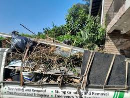 Best Residential Junk Removal  in Minerva Park, OH